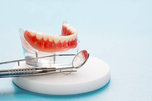 Best Dental Exams and Cleanings  in Orange City, FL